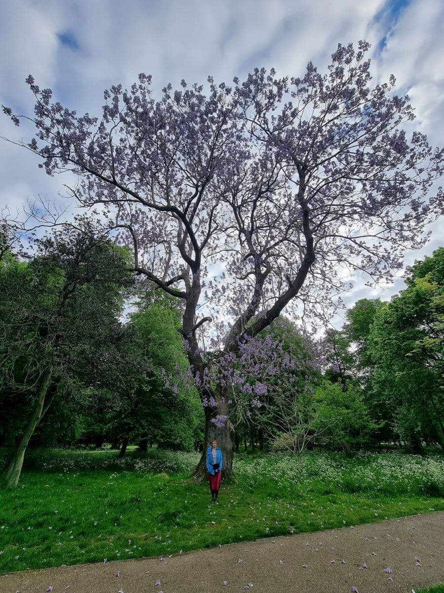 Bute Park Riverside Walk